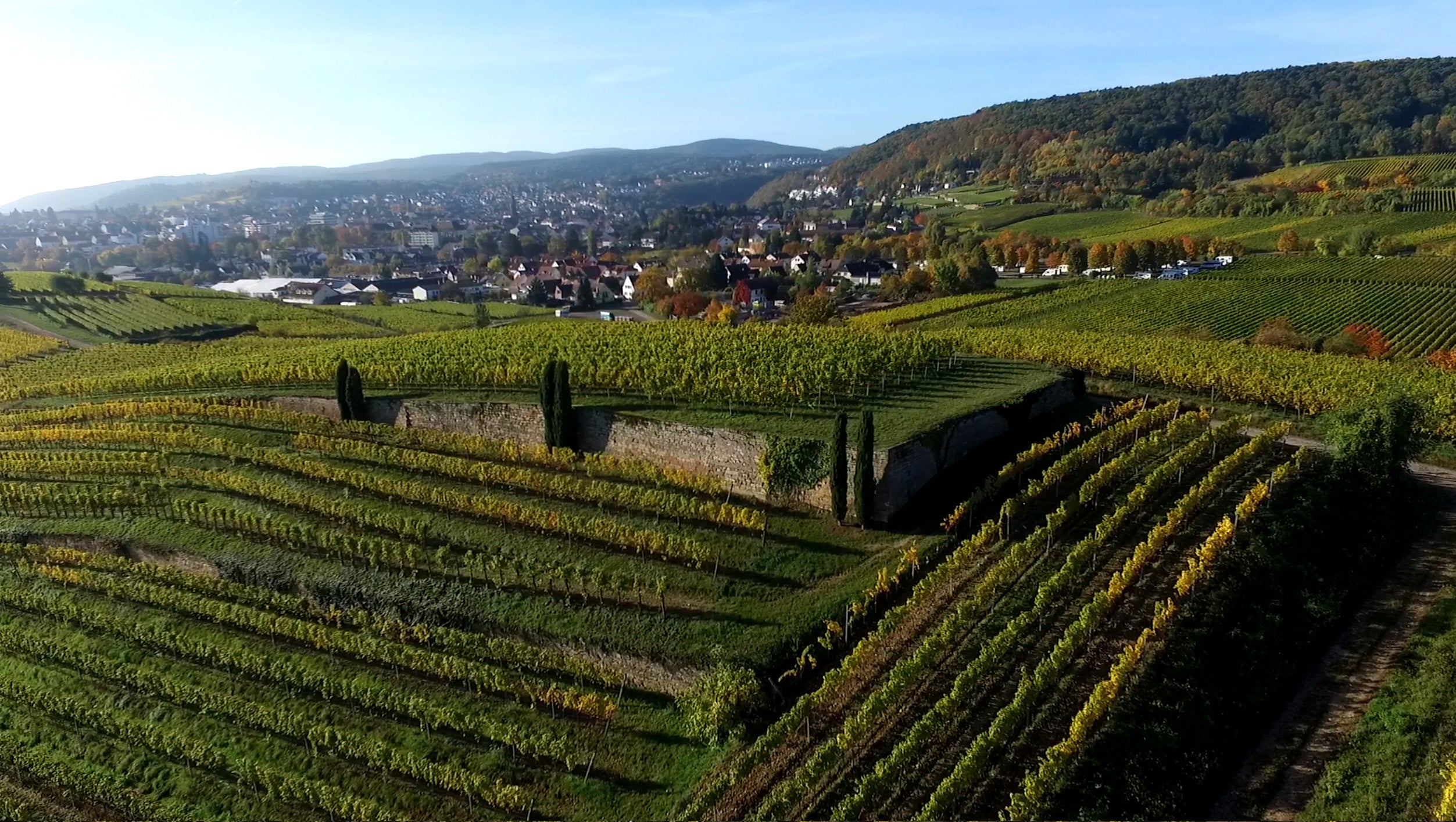 2015 HERRENBERG - Riesling VDP.Grosses Gewächs trocken MAGNUM (1,5 Ltr.)