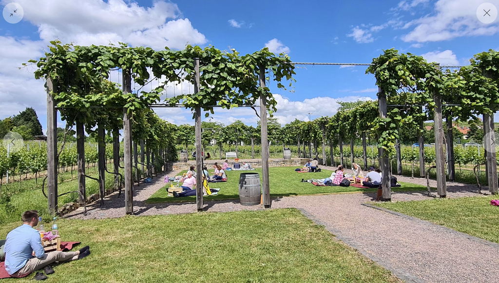 WINE PICNIC - (Kiste für zwei Personen)