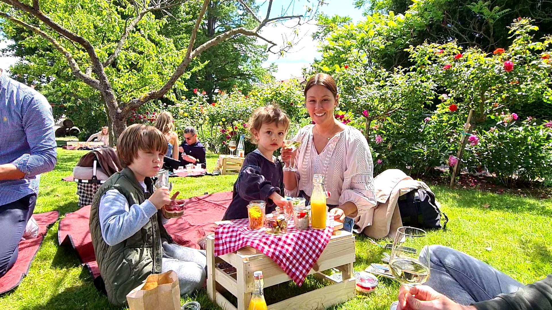 WINE PICNIC - (Kiste für zwei Personen)