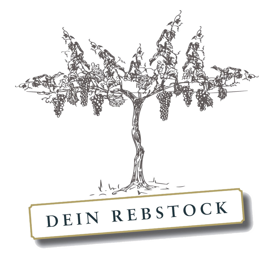DEIN REBSTOCK - Pachtvertrag