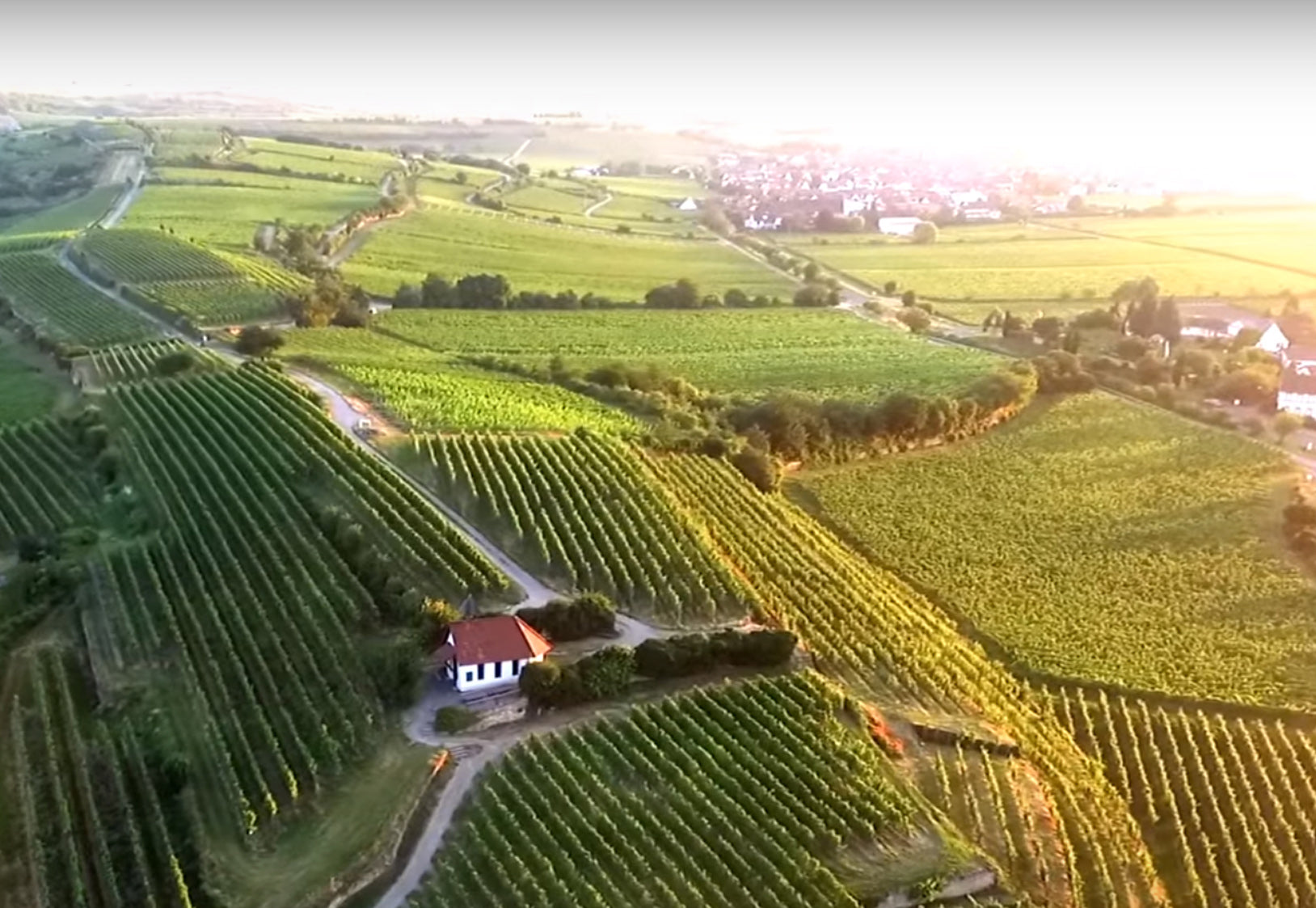 2022 "Riff" Pinot Noir Rotwein trocken (0,75 Ltr.)